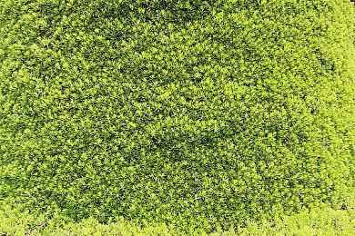 剧情向第一人称科幻恐怖射击游戏《永恒不变》上线Steam平台