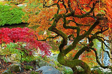 《王者荣耀》露娜新皮肤官宣 灵感来自普罗米修斯故事